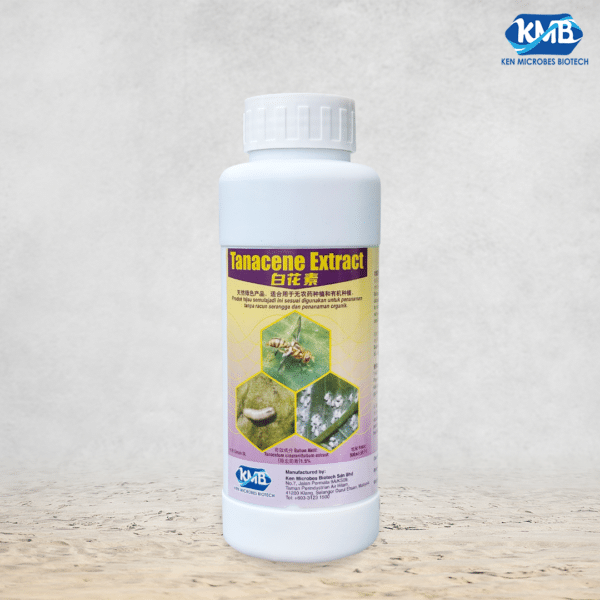 Tanacene Extract