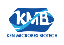 KMB Logo